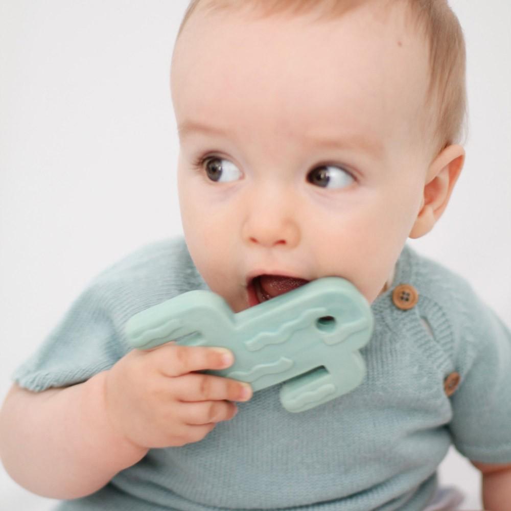 Lanco Mordedores Mordedor Cactus LA90533-1