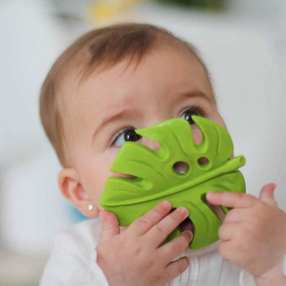 Lanco Mordedores Mordedor Monstera LA90418