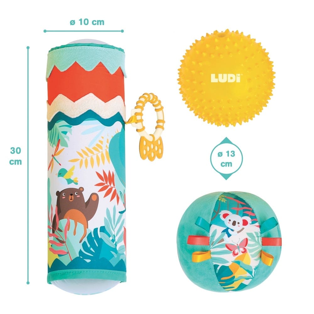LUDI Destreza y Habilidades Cofre de tubo y pelotas sensoriales LU30076