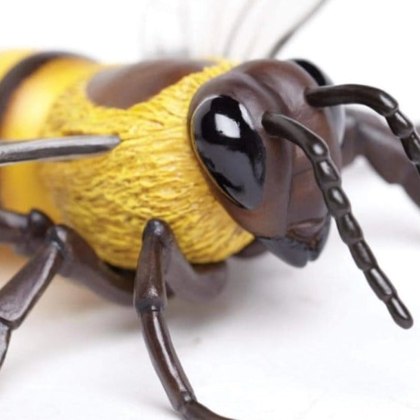 SAFARI Animales y Dinosaurios Coleccionables Abeja de la miel Coleccionable