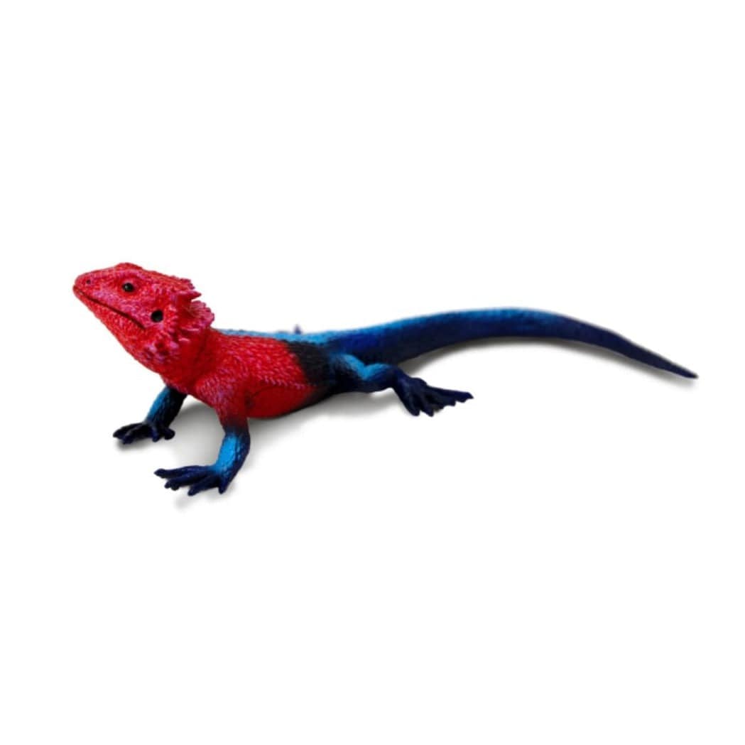 SAFARI Animales y Dinosaurios Coleccionables Agama de roca de cabeza plana Coleecionable SA101081