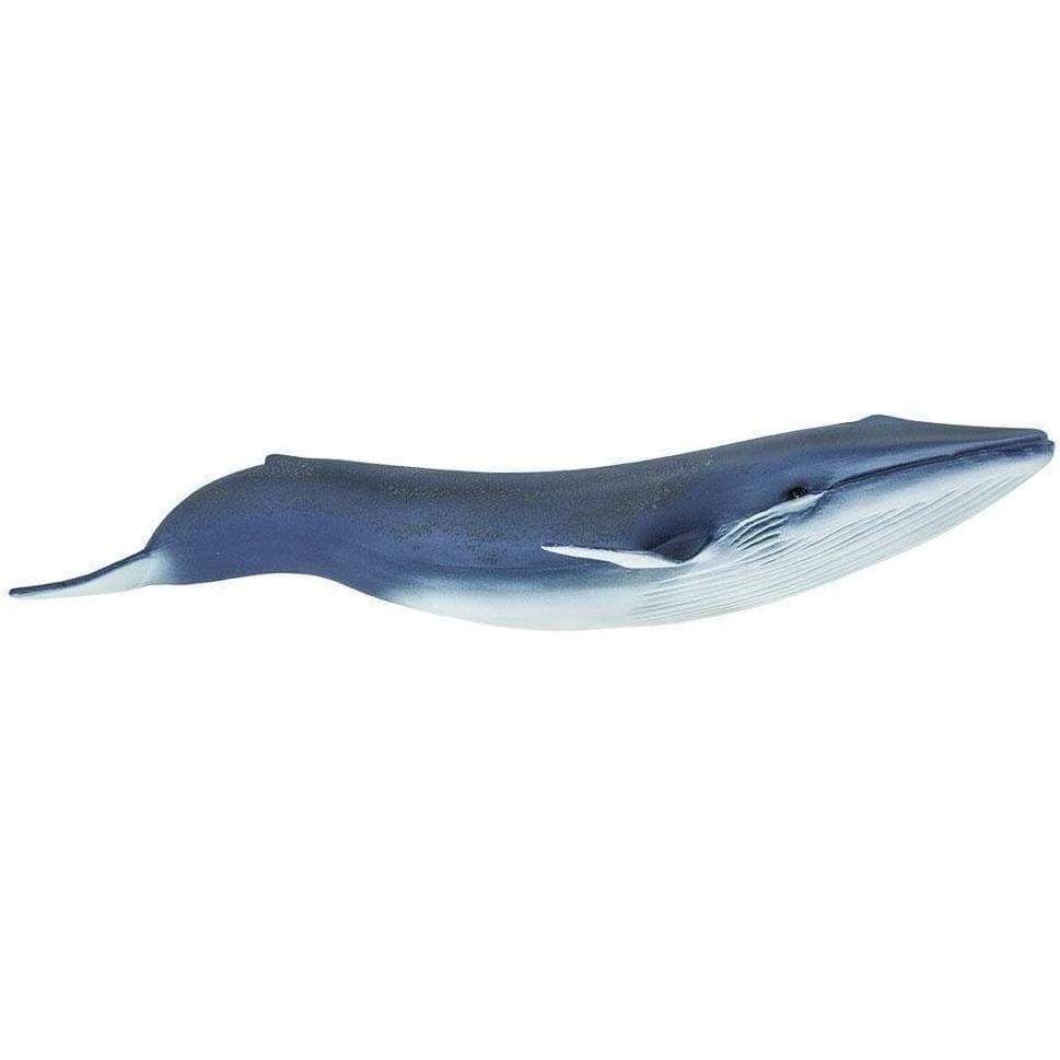 SAFARI Animales y Dinosaurios Coleccionables Ballena Azul Coleccionable SA223229