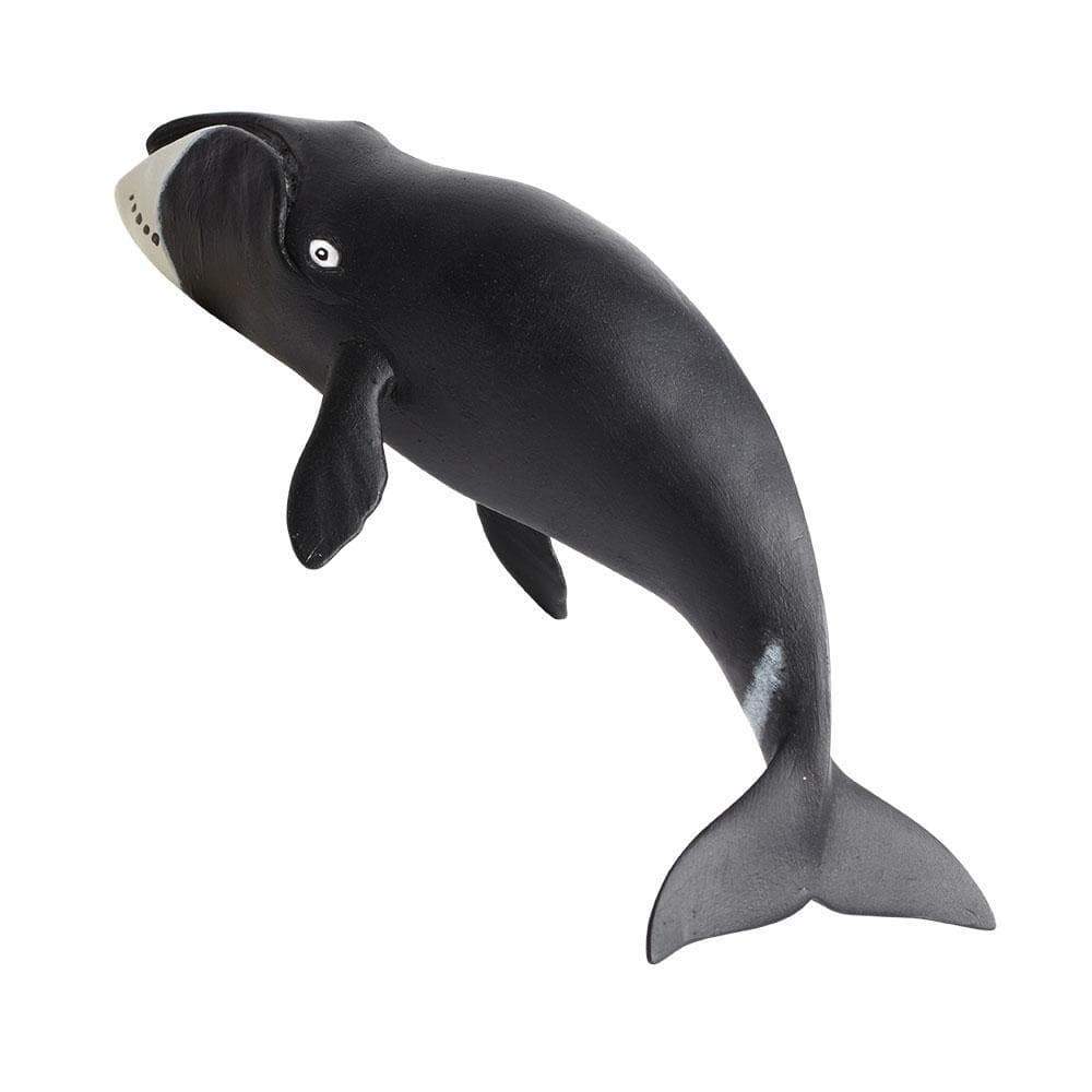 SAFARI Animales y Dinosaurios Coleccionables Ballena "Bowhead Whale" Coleccionable SA205529