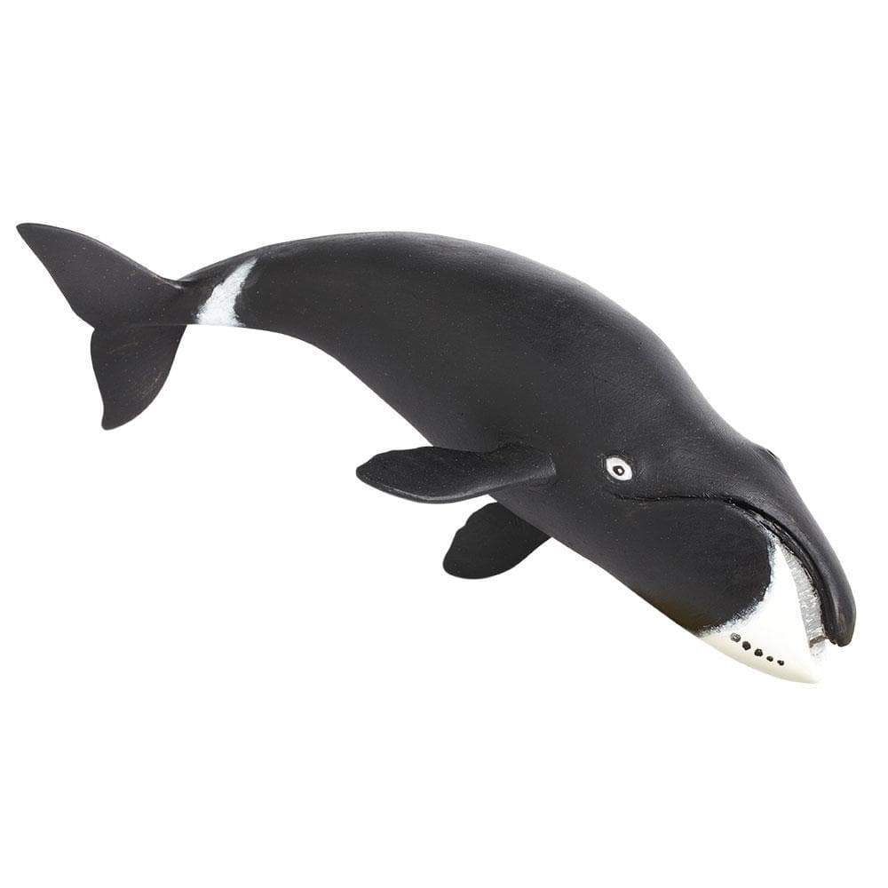 SAFARI Animales y Dinosaurios Coleccionables Ballena "Bowhead Whale" Coleccionable SA205529