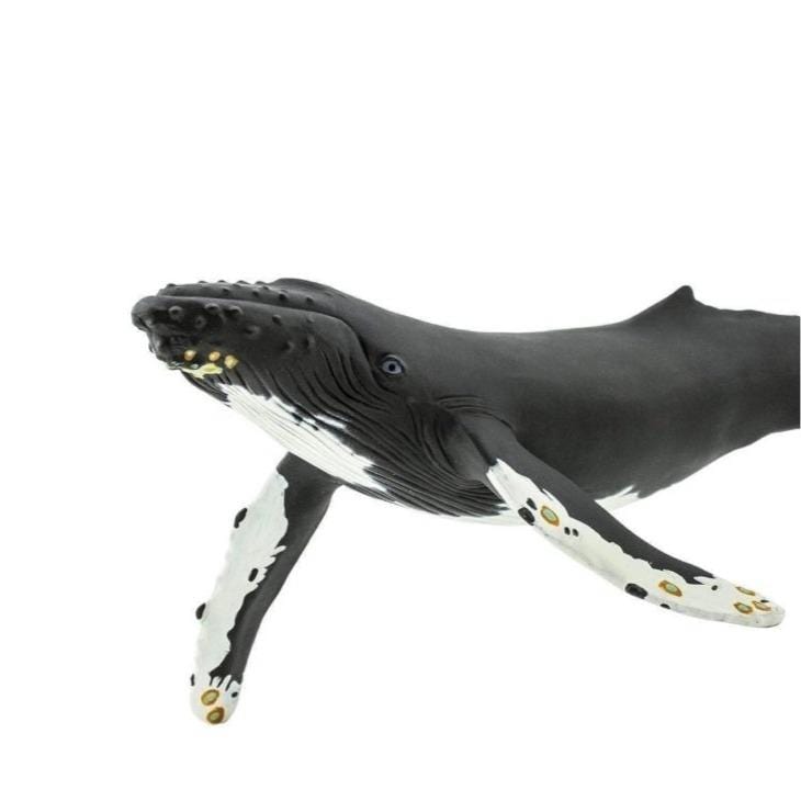 SAFARI Animales y Dinosaurios Coleccionables Ballena Jorobada Grande Coleccionable SA210002