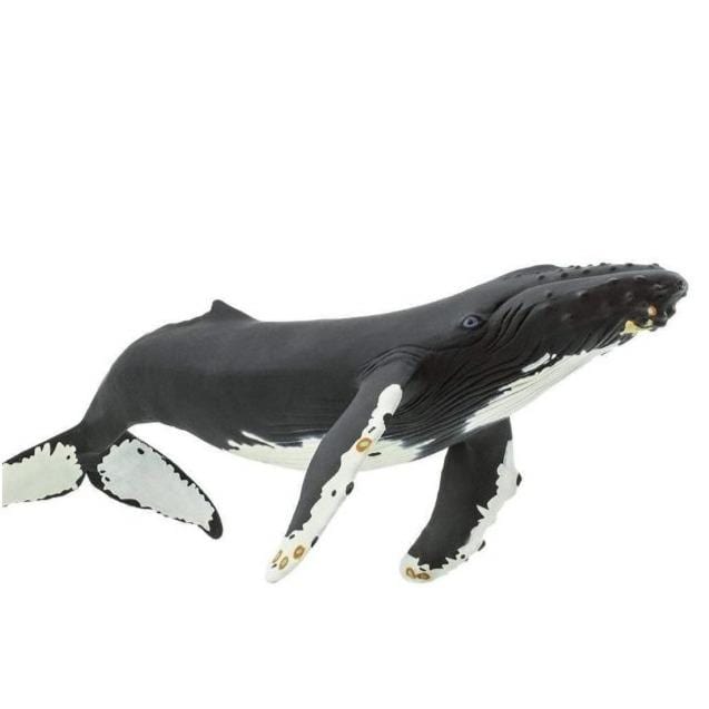 SAFARI Animales y Dinosaurios Coleccionables Ballena Jorobada Grande Coleccionable SA210002