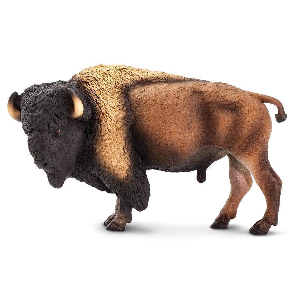 SAFARI Animales y Dinosaurios Coleccionables Bison Coleccionable