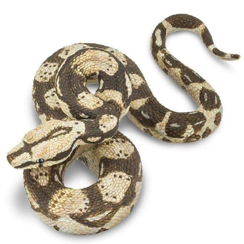 SAFARI Animales y Dinosaurios Coleccionables Boa Constrictor Coleccionable SA266529