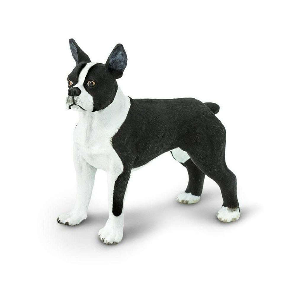 SAFARI Animales y Dinosaurios Coleccionables Boston Terrier Coleccionable SA255029
