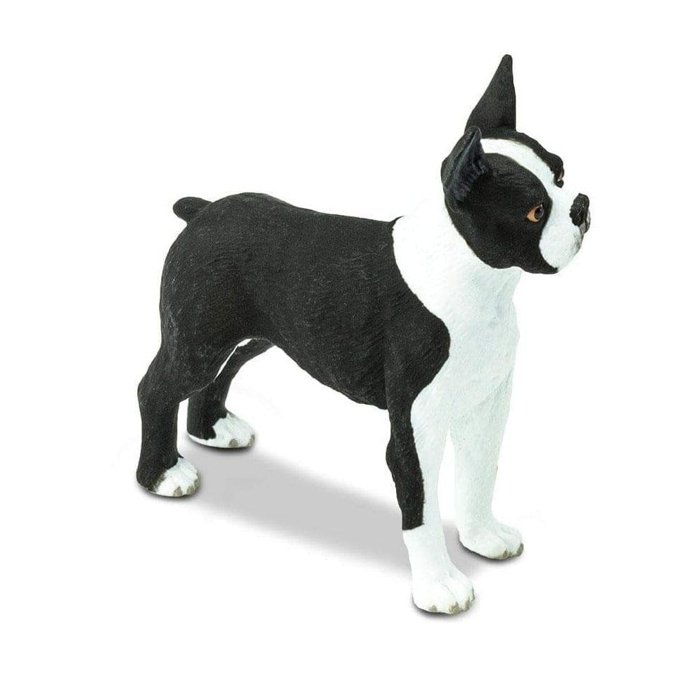 SAFARI Animales y Dinosaurios Coleccionables Boston Terrier Coleccionable SA255029