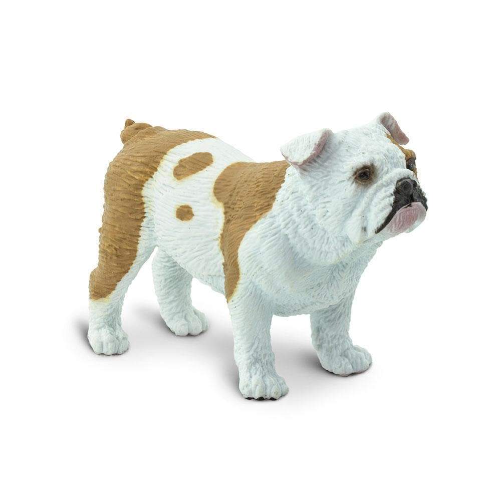 SAFARI Animales y Dinosaurios Coleccionables Bulldog Coleccionable SA250729