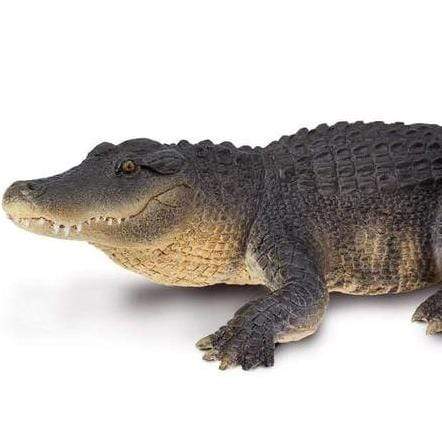SAFARI Animales y Dinosaurios Coleccionables Caimán Grande Coleccionable SA113389