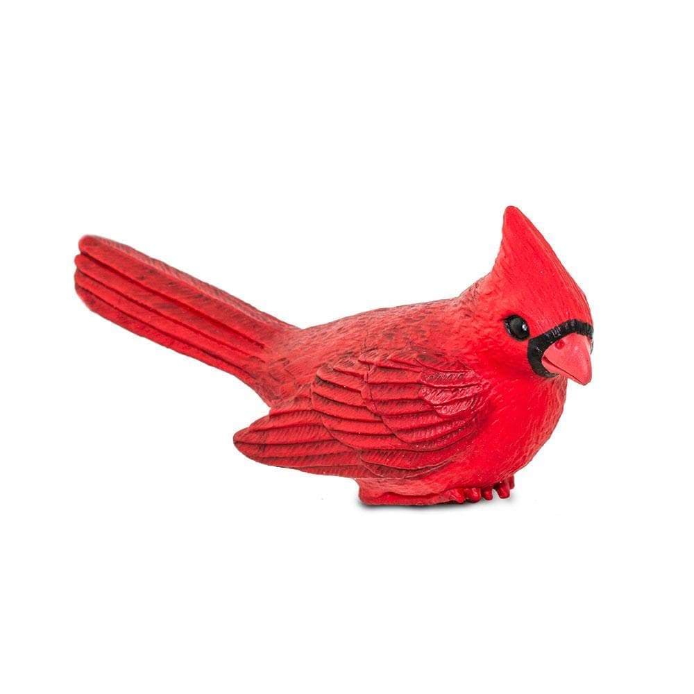 SAFARI Animales y Dinosaurios Coleccionables Cardenal del Norte Coleccionable SA100215