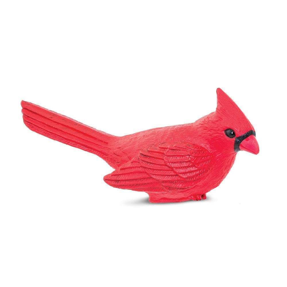 SAFARI Animales y Dinosaurios Coleccionables Cardenal del Norte Coleccionable SA100215