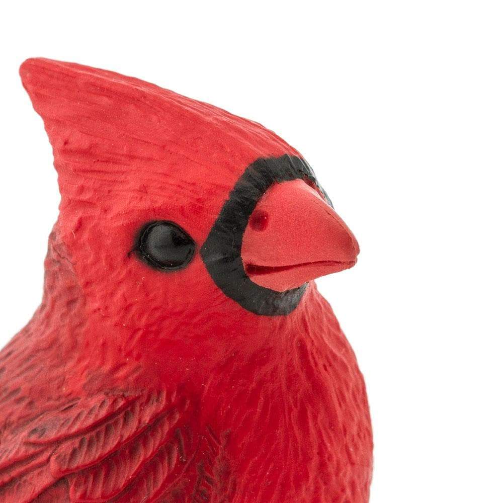 SAFARI Animales y Dinosaurios Coleccionables Cardenal del Norte Coleccionable SA100215