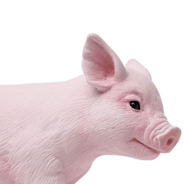 SAFARI Animales y Dinosaurios Coleccionables Cerdito Coleccionable SA265429