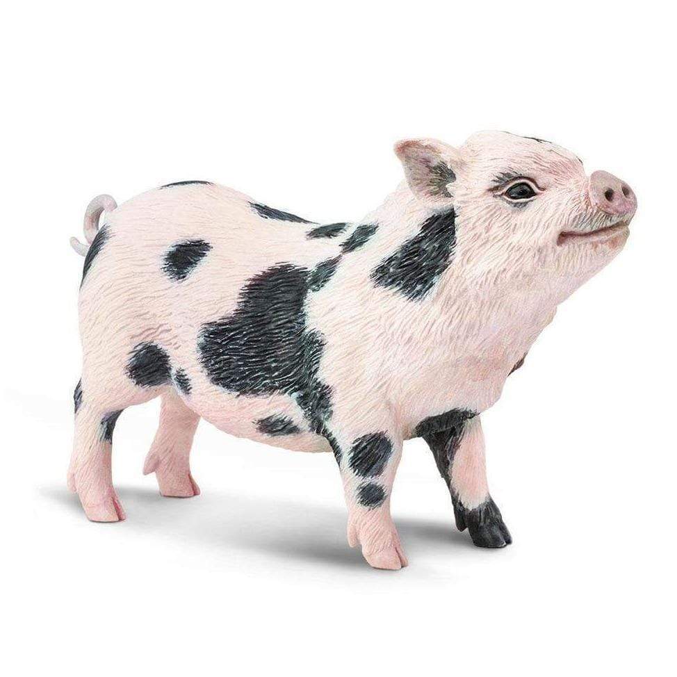 SAFARI Animales y Dinosaurios Coleccionables Cerdo Barrigón Coleccionable SA266029