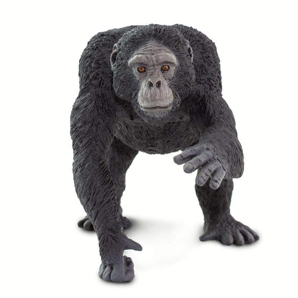 SAFARI Animales y Dinosaurios Coleccionables Chimpancé Coleccionable SA100302