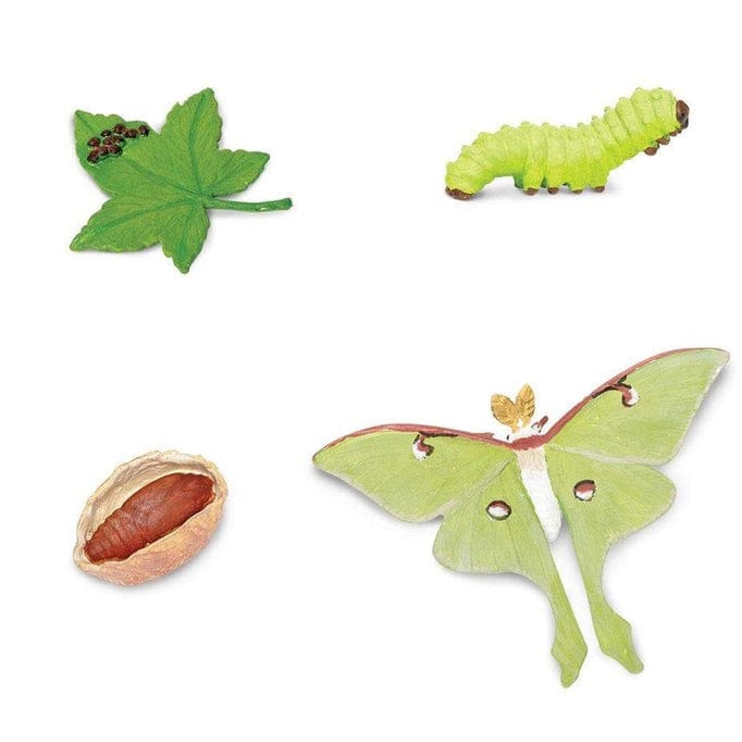 SAFARI Animales y Dinosaurios Coleccionables Ciclo de vida de una polilla luna Coleccionable SA663516