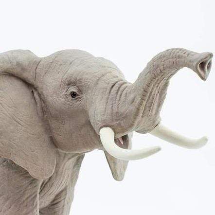 SAFARI Animales y Dinosaurios Coleccionables Elefante Africano Coleccionable SA111089