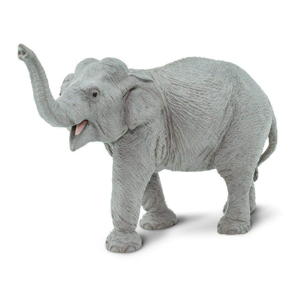 SAFARI Animales y Dinosaurios Coleccionables Elefante asiático Coleccionable SA227529