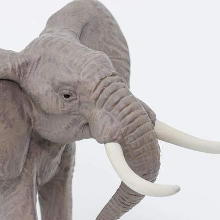 SAFARI Animales y Dinosaurios Coleccionables Elefante Toro Africano Coleccionable SA295629