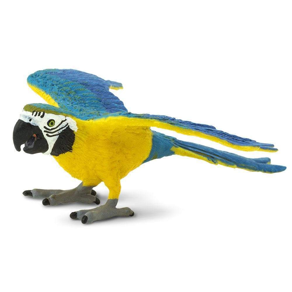 SAFARI Animales y Dinosaurios Coleccionables Guacamayo azul y dorado Coleccionable
