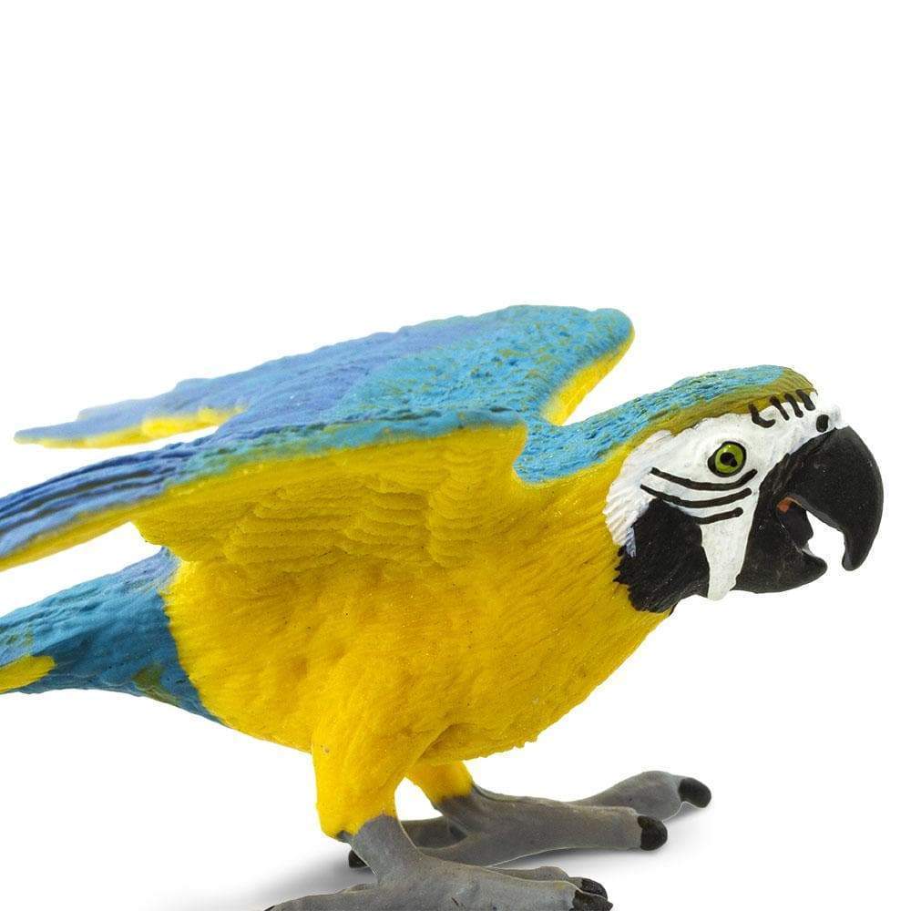 SAFARI Animales y Dinosaurios Coleccionables Guacamayo azul y dorado Coleccionable
