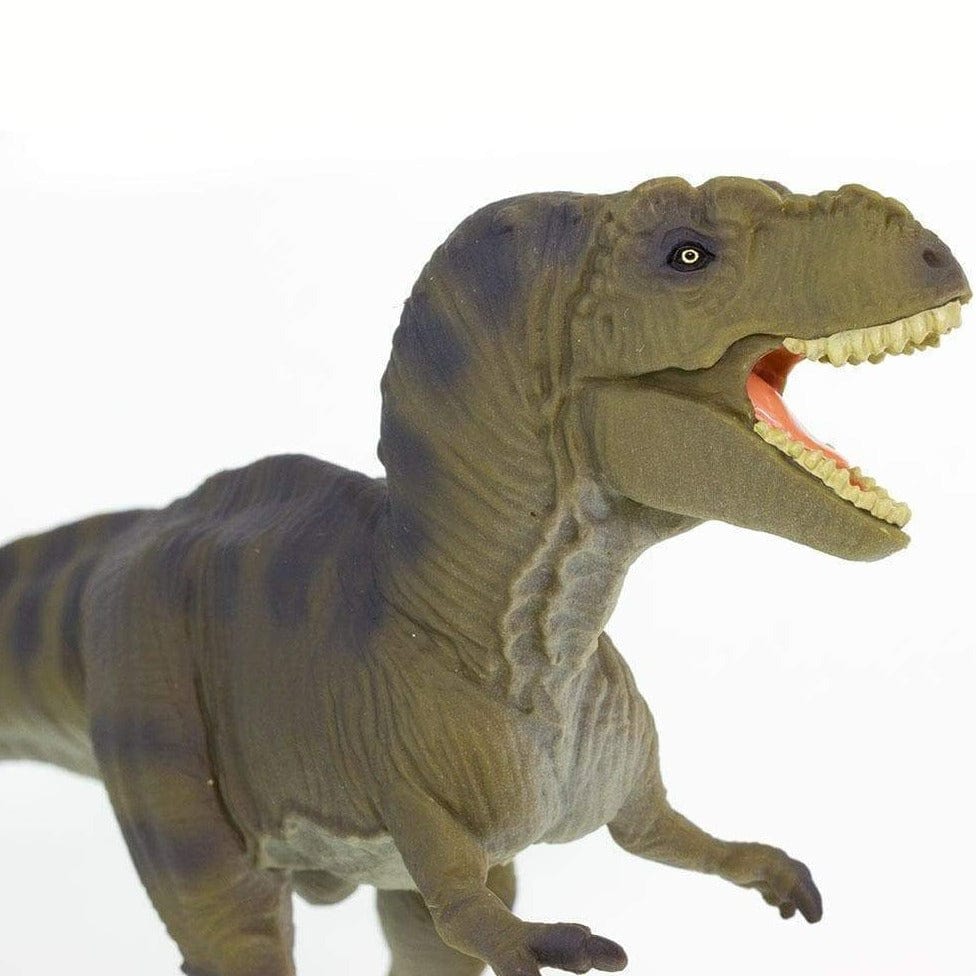 SAFARI Animales y Dinosaurios Coleccionables Tiranosaurio-Rex Coleccionable SA100423