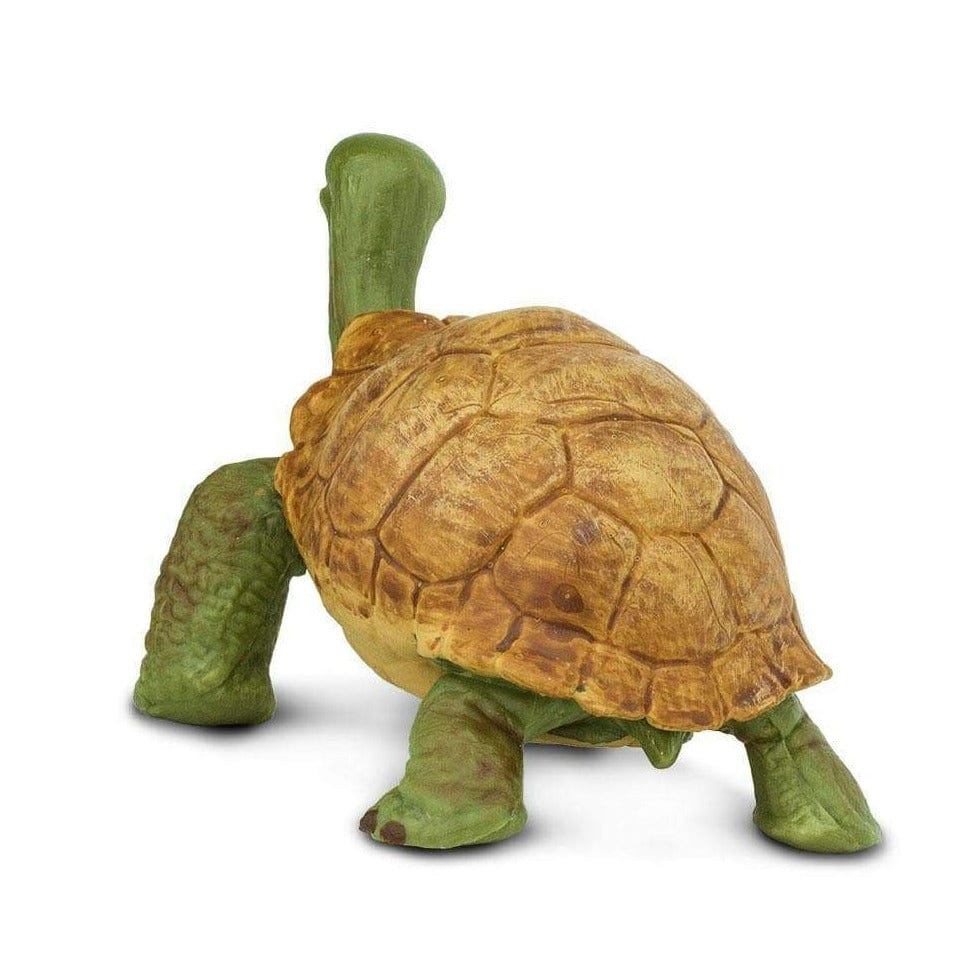 SAFARI Animales y Dinosaurios Coleccionables Tortuga Gigante Bebé Coleccionable SA272529