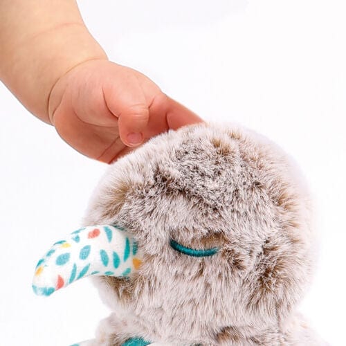 Ludi Peluches Peluche kiwi- Ludi LU30142