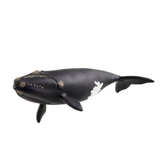 Schleich Animales y Dinosaurios Ballena franca del Atlántico norte - Schleich SCH14878