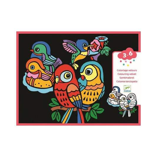 Design By Djeco Arte y Manualidades Pajaritos para colorear en Terciopelo DJ09099