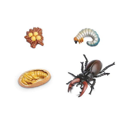 Pichintun Animales y Dinosaurios Coleccionables Ciclo de Vida del Escarabajo Ciervo Coleccionable SA661416