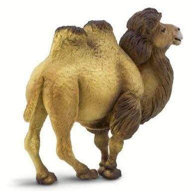 SAFARI Animales y Dinosaurios Coleccionables Camello Bactriano Coleccionable SA290929
