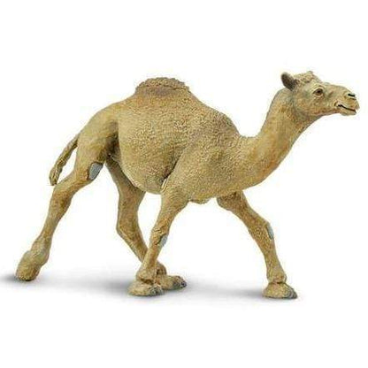 SAFARI Animales y Dinosaurios Coleccionables Camello Dromedario Coleccionable SA222429