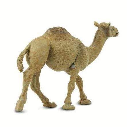SAFARI Animales y Dinosaurios Coleccionables Camello Dromedario Coleccionable SA222429