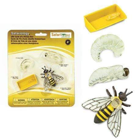 SAFARI Animales y Dinosaurios Coleccionables Ciclo de vida de una abeja Coleccionable SA622716