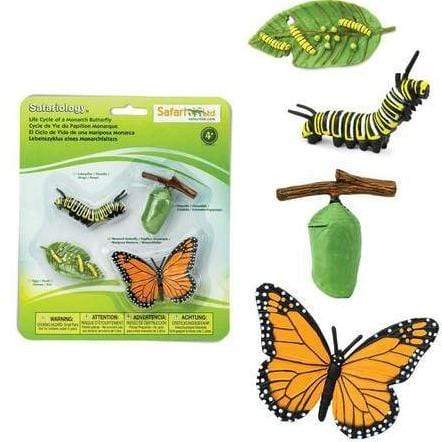 SAFARI Animales y Dinosaurios Coleccionables Ciclo de vida de una mariposa monarca SA622616