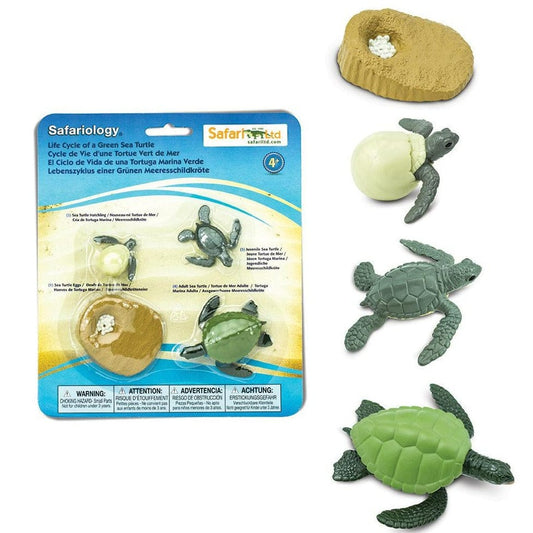 SAFARI Animales y Dinosaurios Coleccionables Ciclo de vida de una tortuga marina verde Coleccionable SA662316
