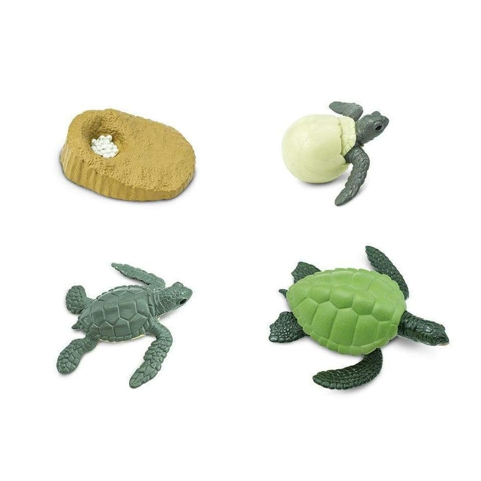 SAFARI Animales y Dinosaurios Coleccionables Ciclo de vida de una tortuga marina verde Coleccionable SA662316