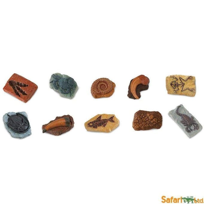 SAFARI Animales y Dinosaurios Coleccionables Fósiles Antiguos Coleccionables TOOB SA684804
