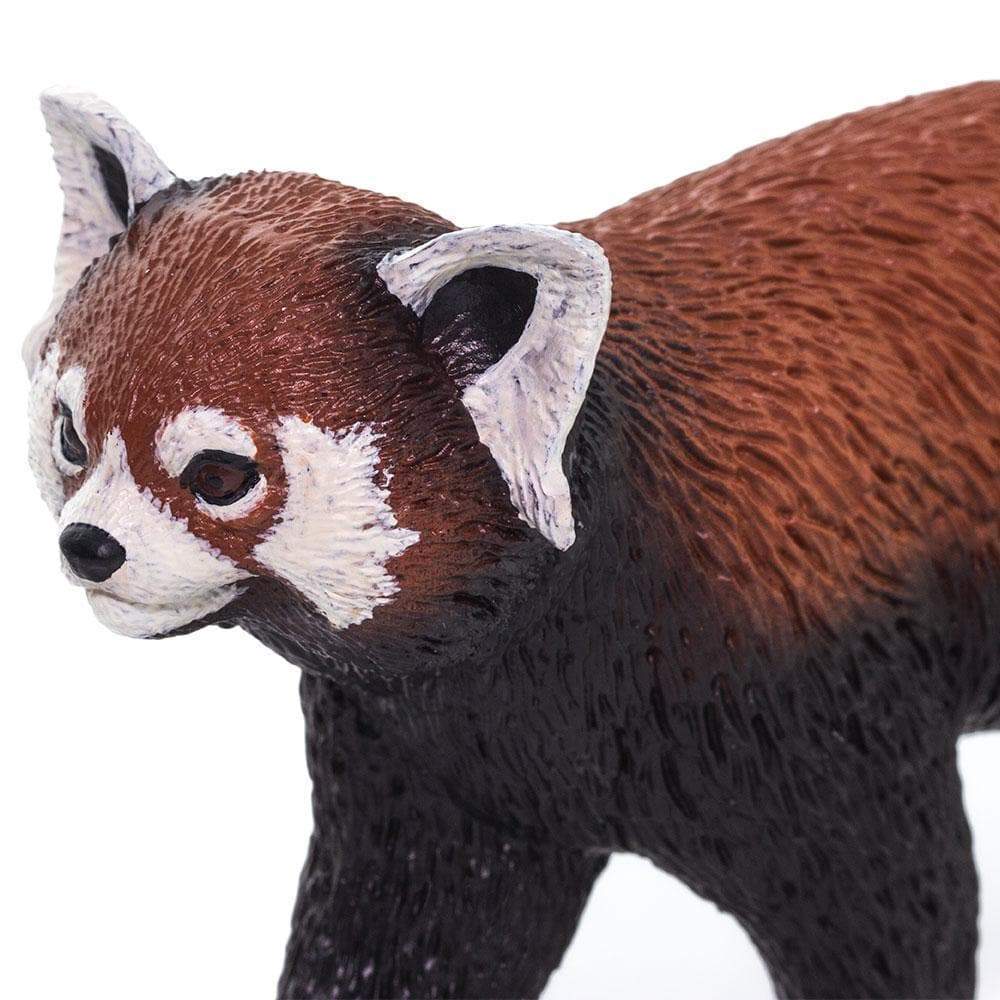 SAFARI Animales y Dinosaurios Coleccionables Panda rojo Coleccionable SA100320