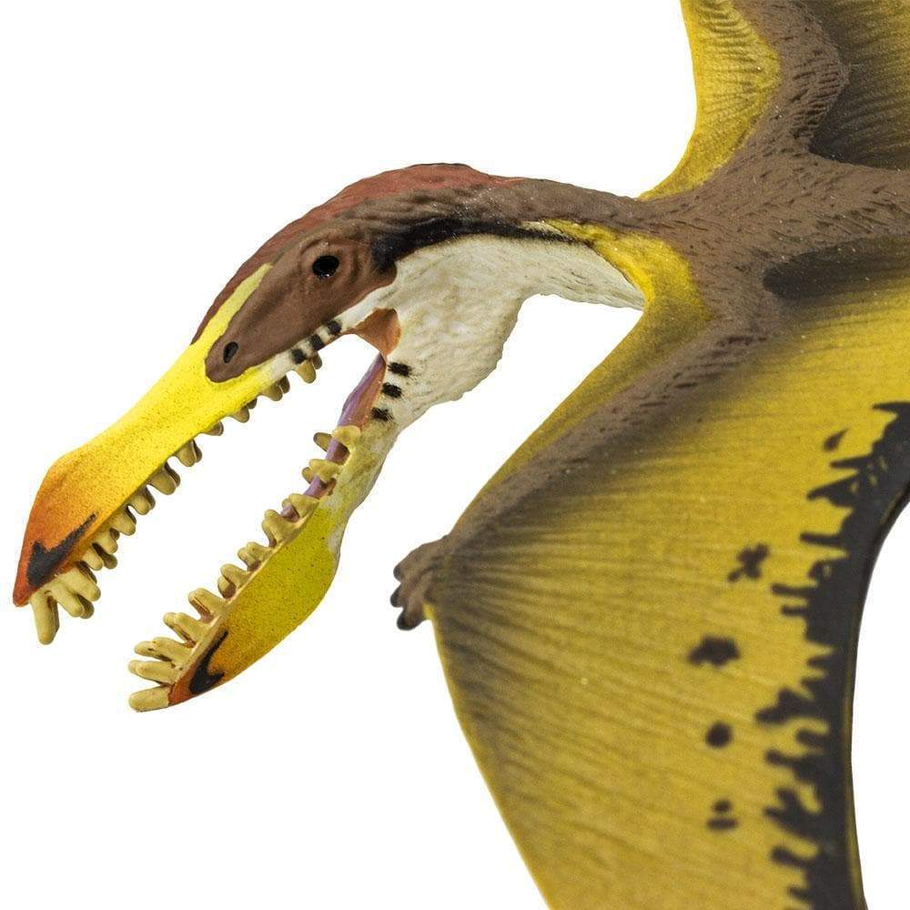 SAFARI Animales y Dinosaurios Coleccionables Pterosaurio Coleccionable SA299729